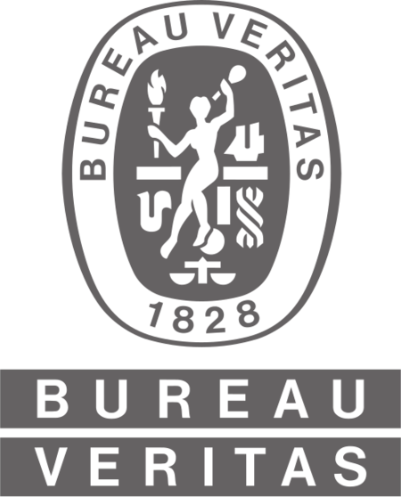Logo Bureau Veritas